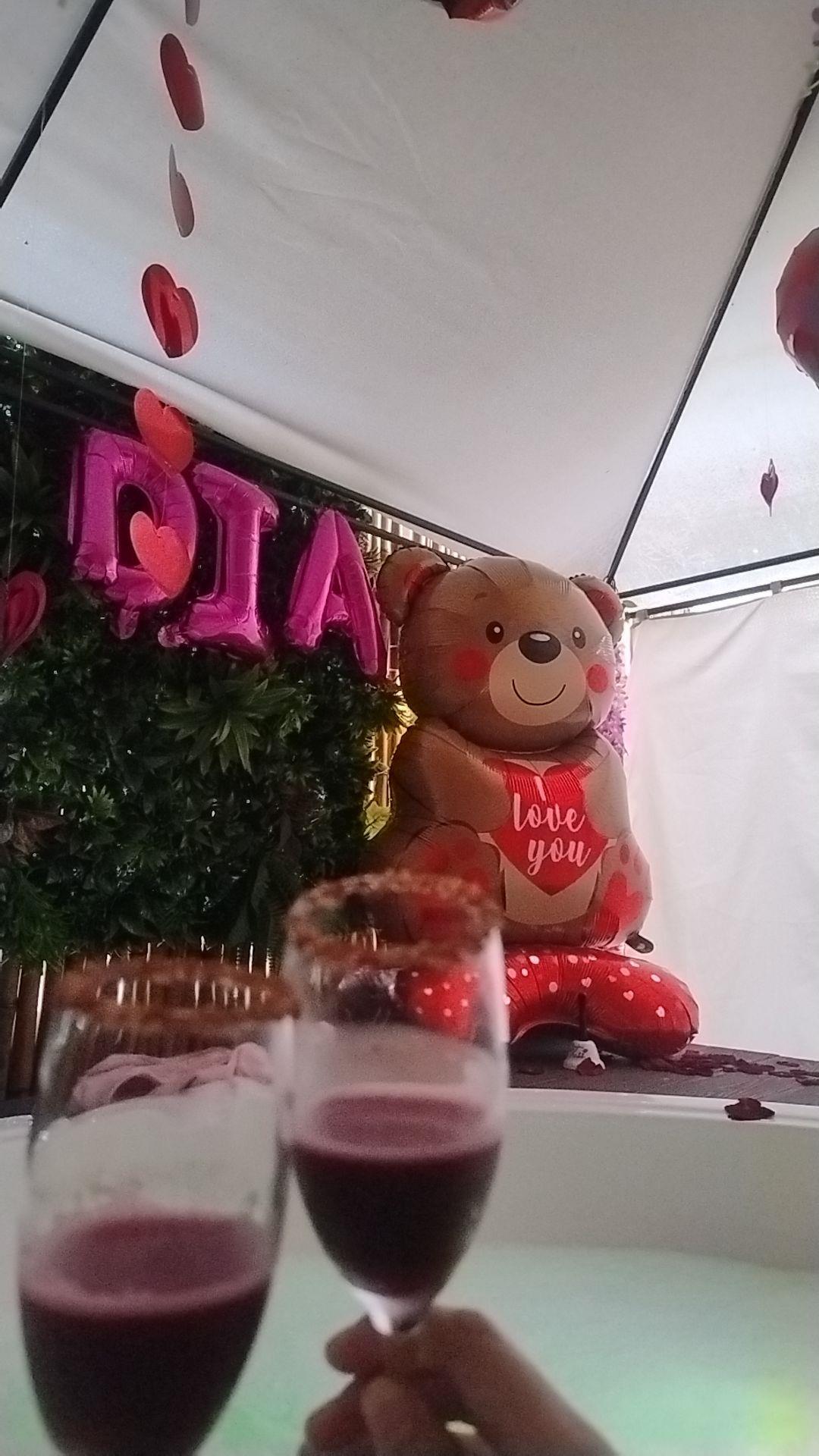 Brindis con dos copas de vino tinto en el spa